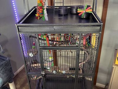 Big bird Cage + BackPack