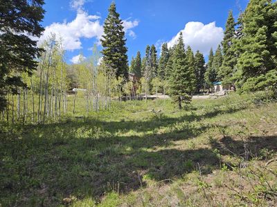 Building Lot in Skyline Mtn Resort