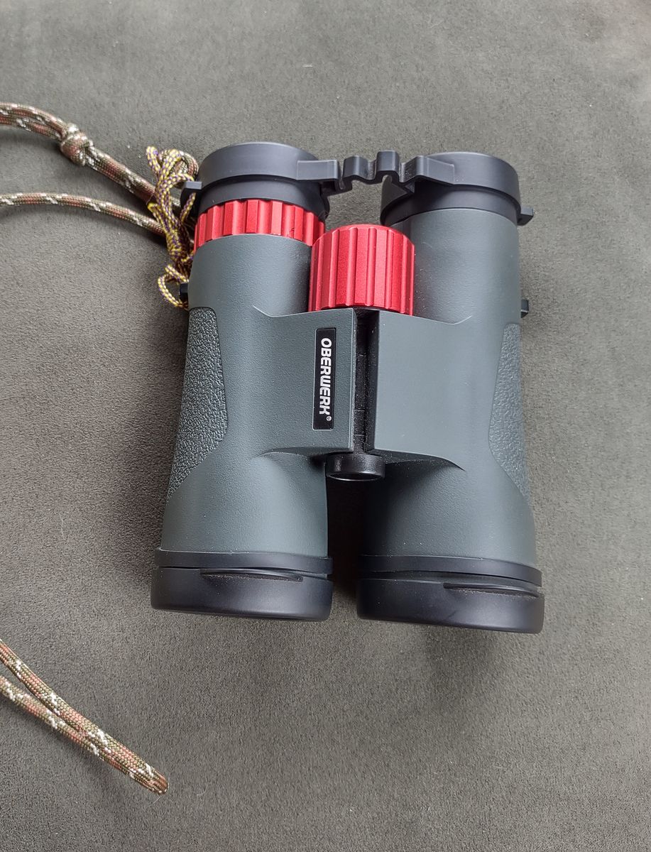 Oberwerk 8x42 Sport ED Binoculars