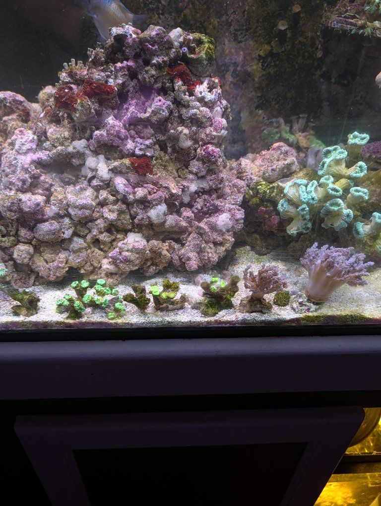 Main image 7