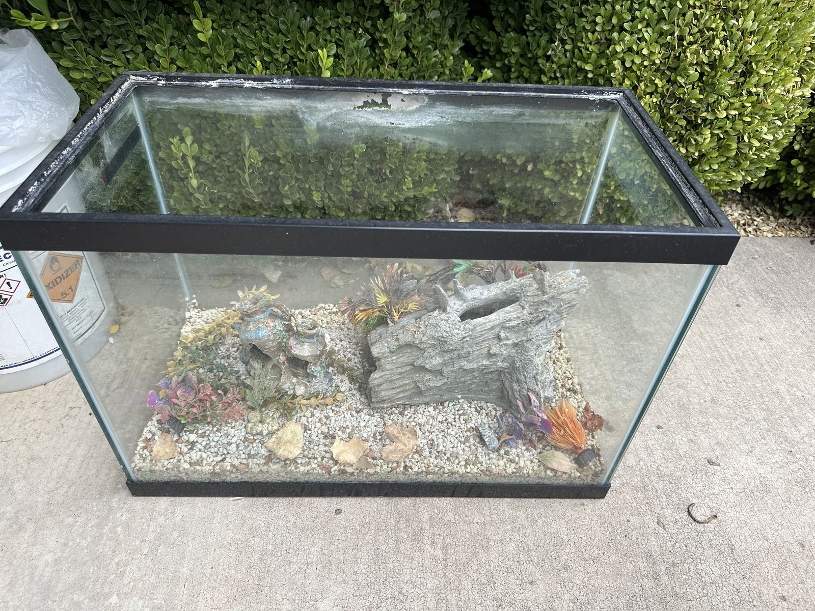 Main image 6