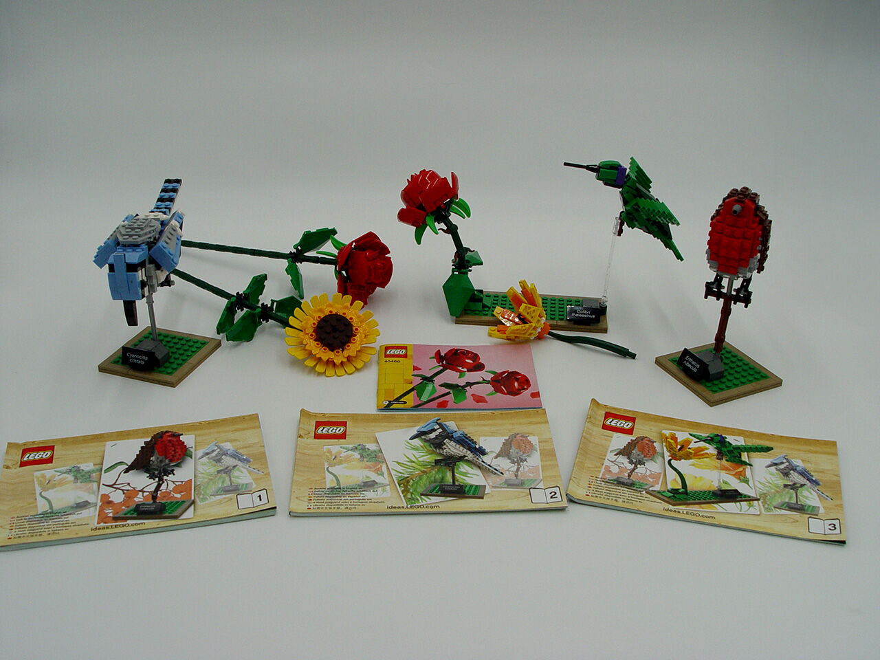 Lego Ideas 21301 Birds, retired, no box, w/instructions, + flowers