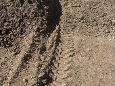 Free Aged horse manure