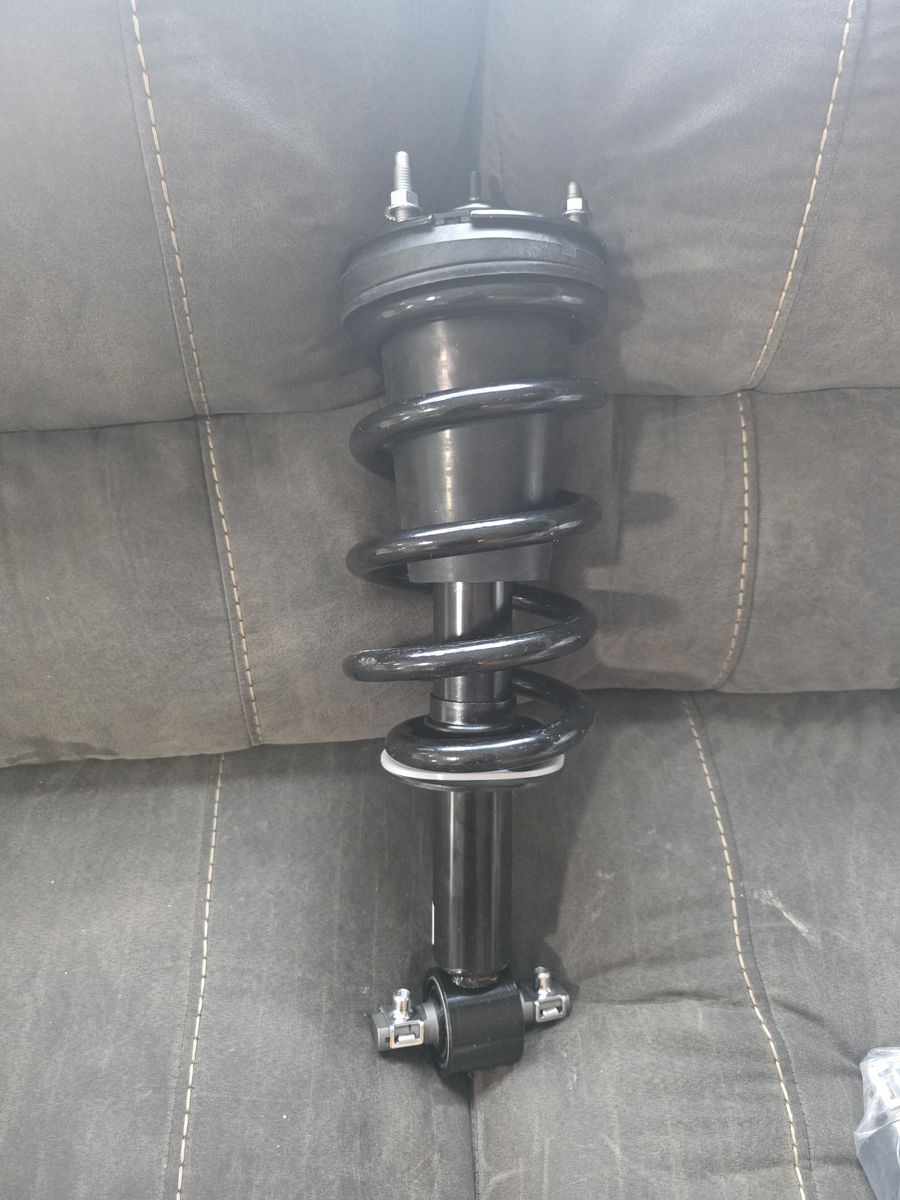 Pair of Complete Rear Strut Assemblies / Loaded Shock & Spring Set