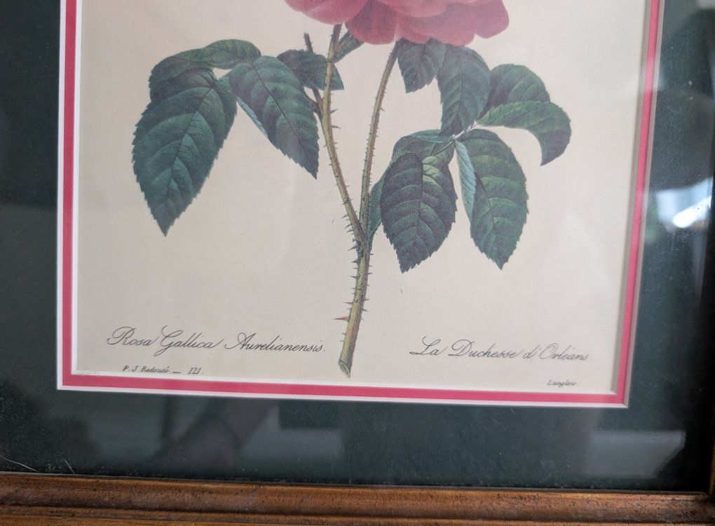 Main image 2