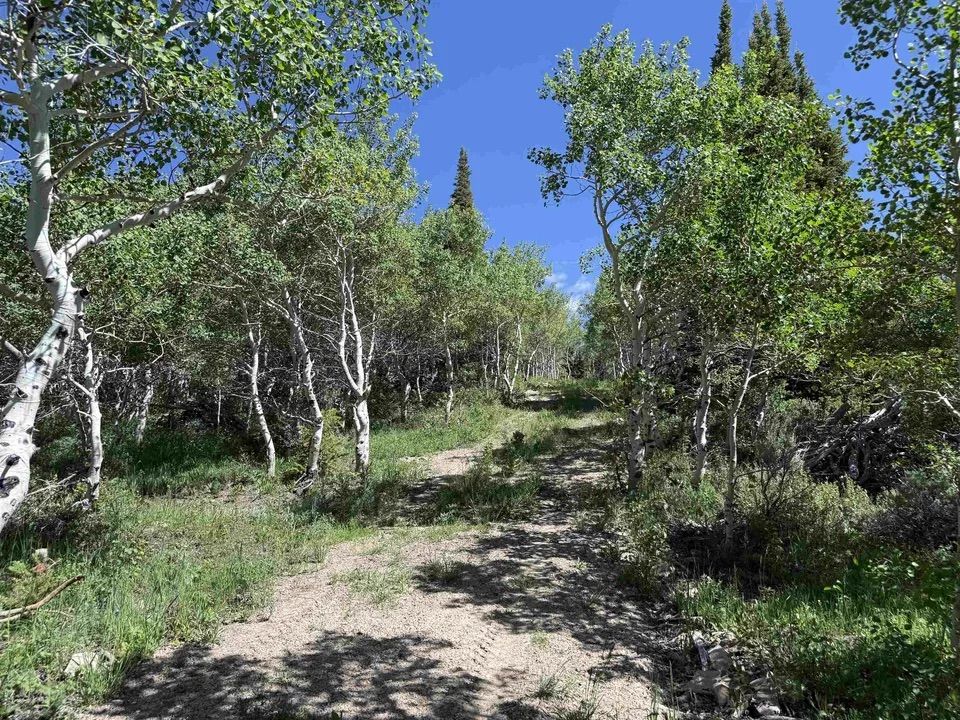 Main image 23