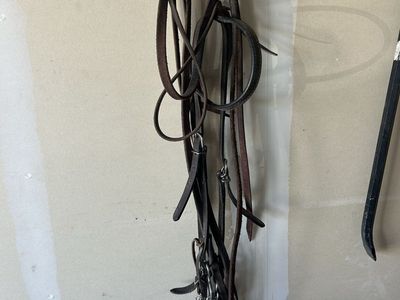 Used Leather Horse Bridle with Metal Hardware