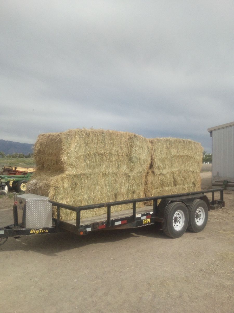 3 way bales of Triticale wheat and barley