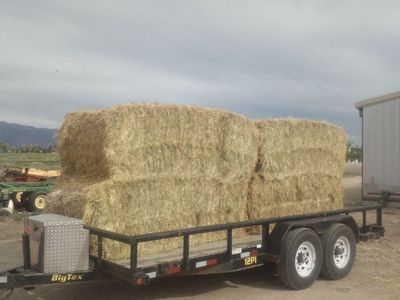 3 way bales of Triticale wheat and barley
