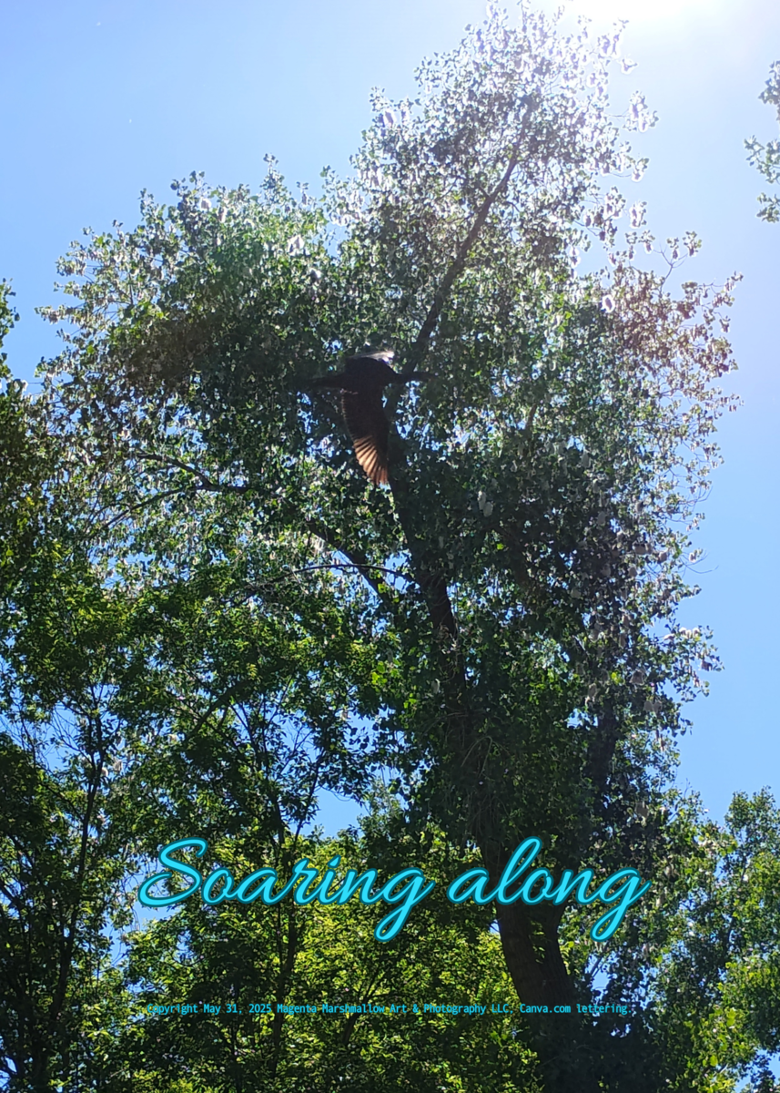 Soaring along - Towel