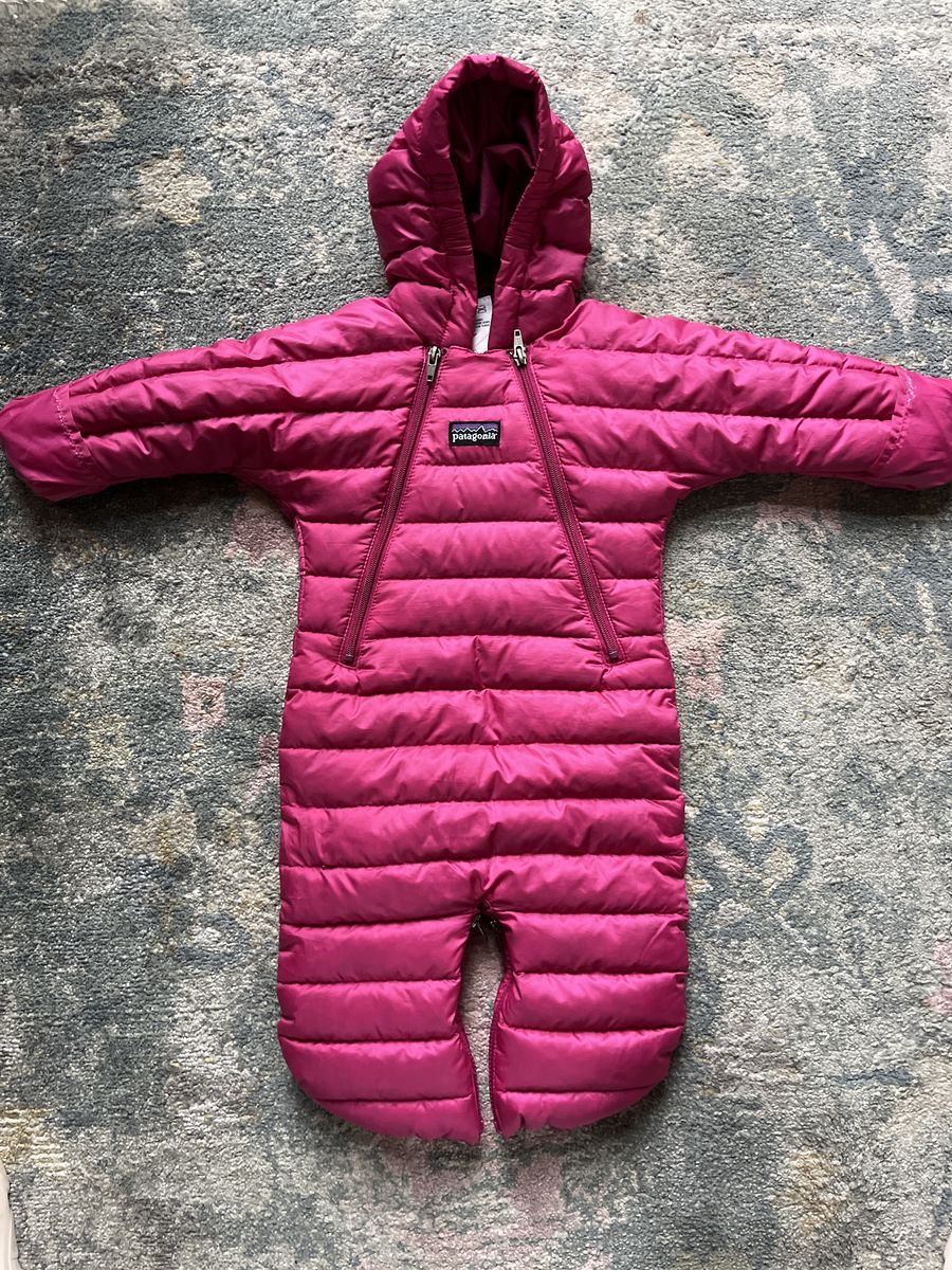 Patagonia Down Bunting