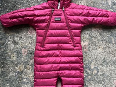 Patagonia Down Bunting