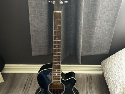 Ibanez Acoustic-Electric Guitar with Amp and Stand