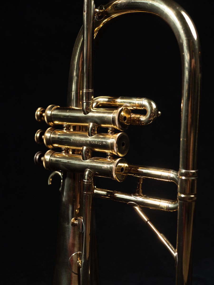 Main image 4