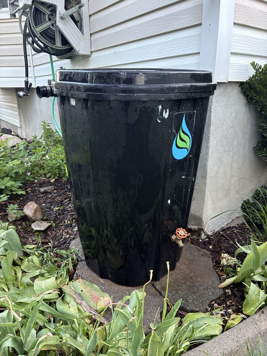 55 Gal Rain Barrel