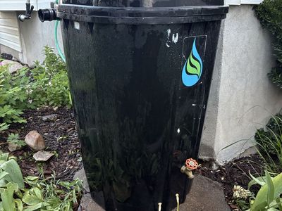 55 Gal Rain Barrel