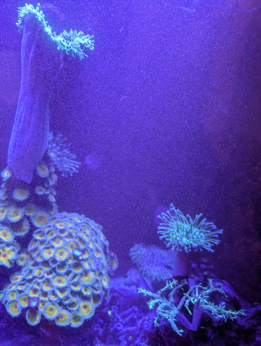 Make me an offer and come and pick it up