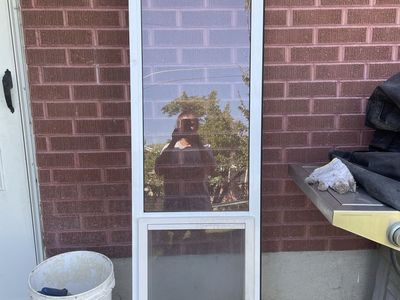 Doggy Door