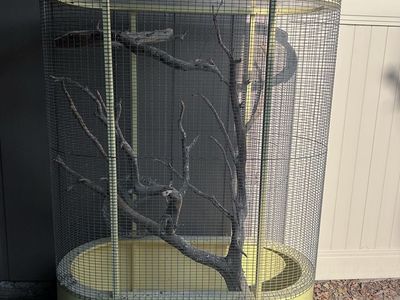 Large Bird Cage