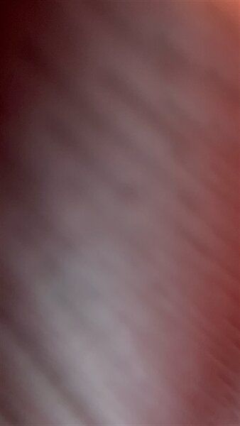 Main image 55
