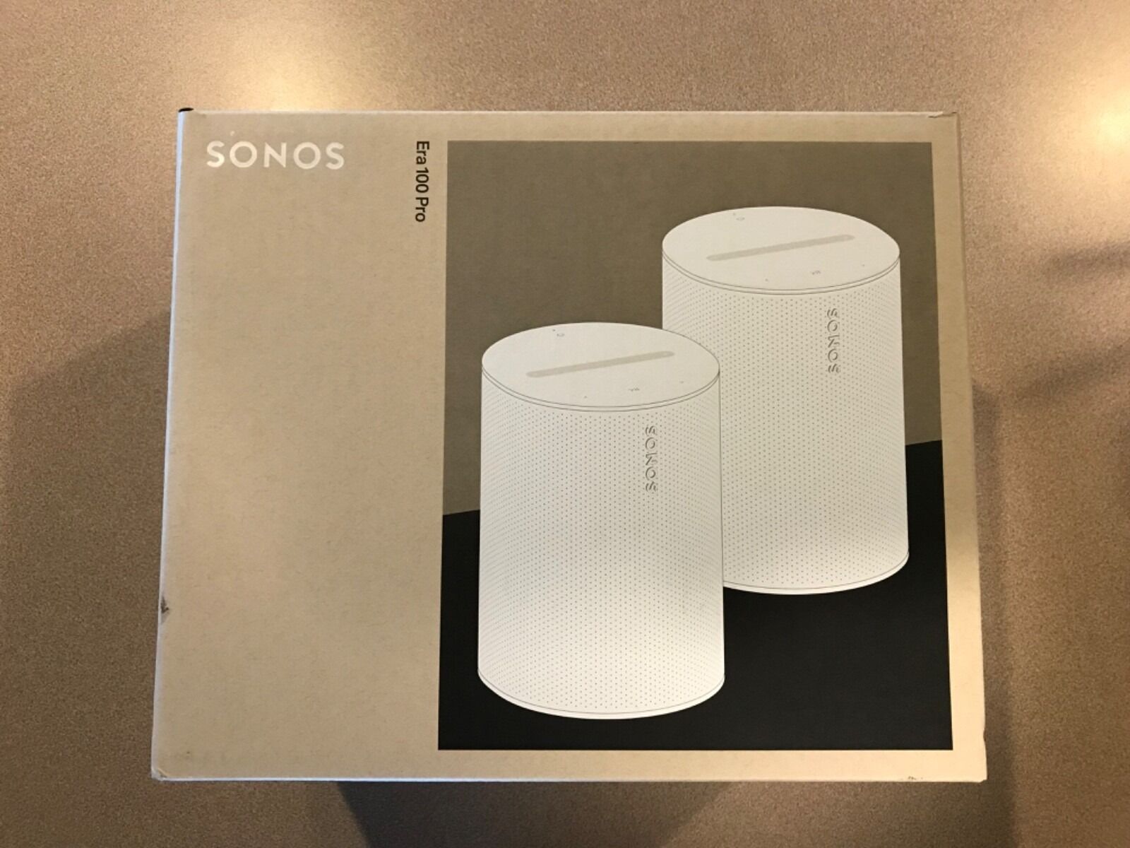 Sonos Era 100 Pro Speaker