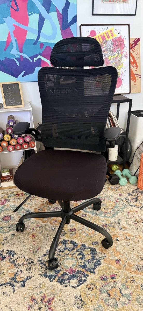 Marsail Ergonomic Office Chair with Adjustable Lumbar Support and Headrest