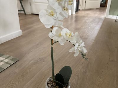 HOME DECOR