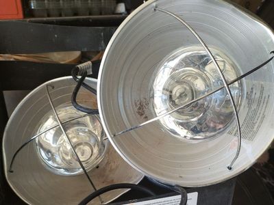 2 Nesting Boxes 2 Lights for Chickens Ducks Turkey