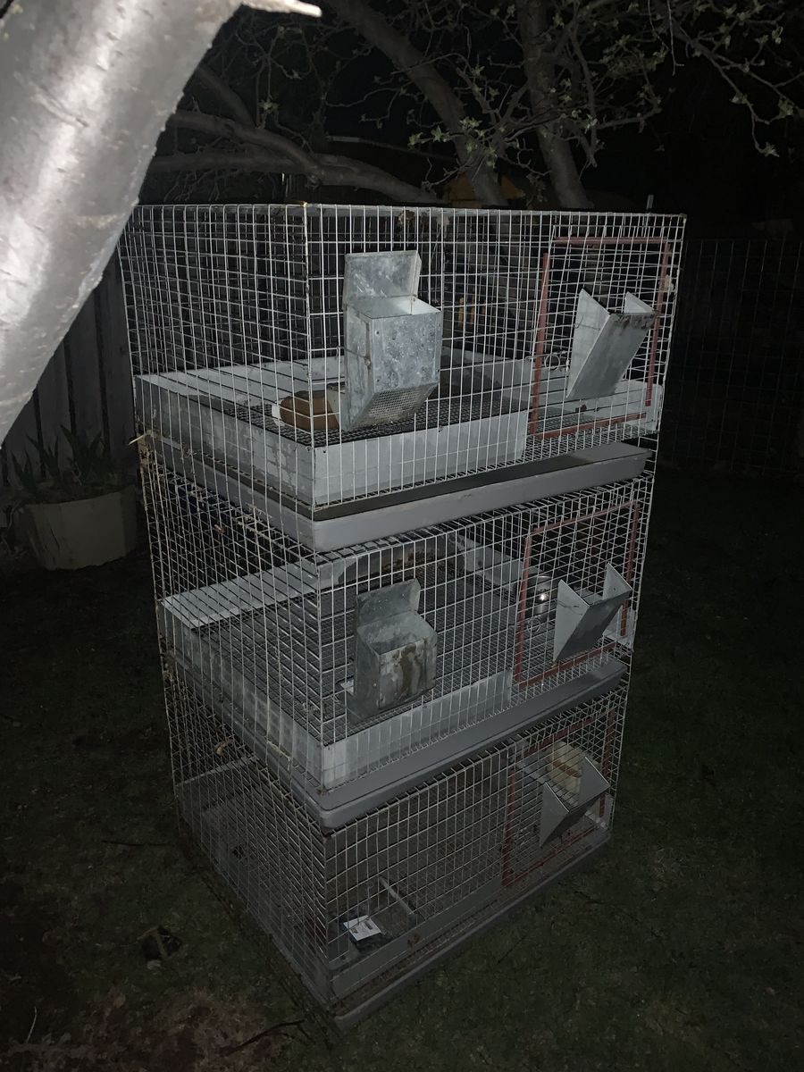 Rabbit cages