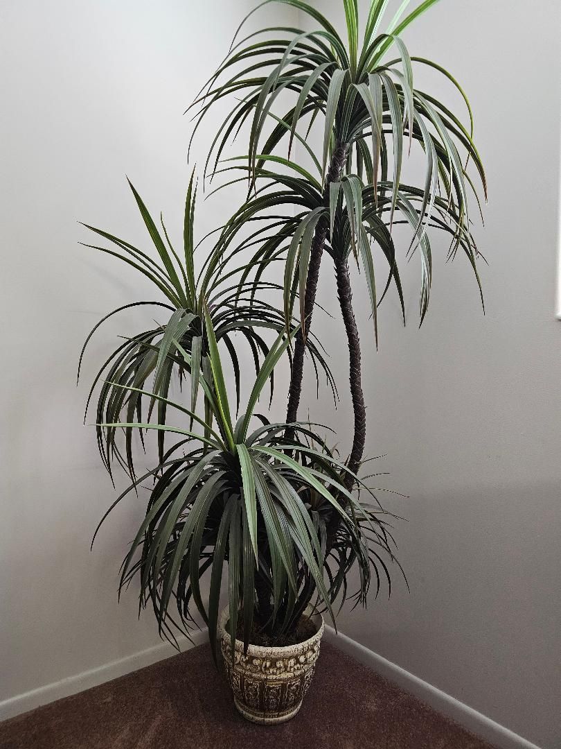 Decorative Artificial Plant
