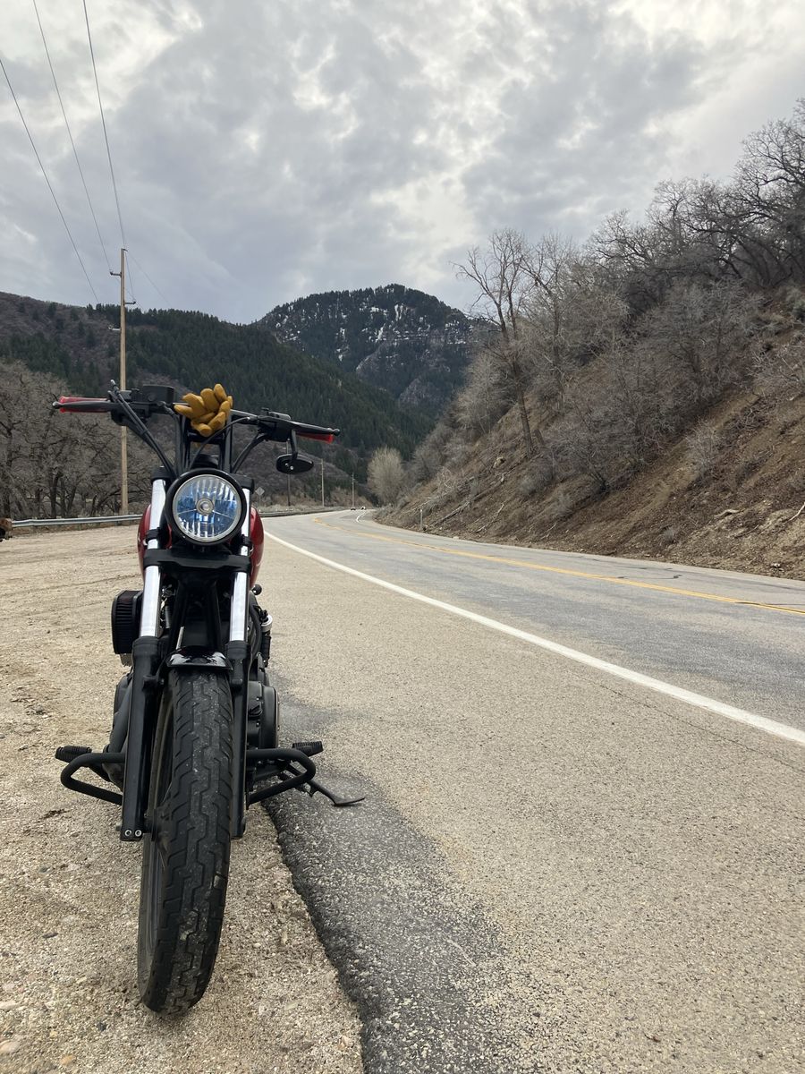 2015 Yamaha Bolt