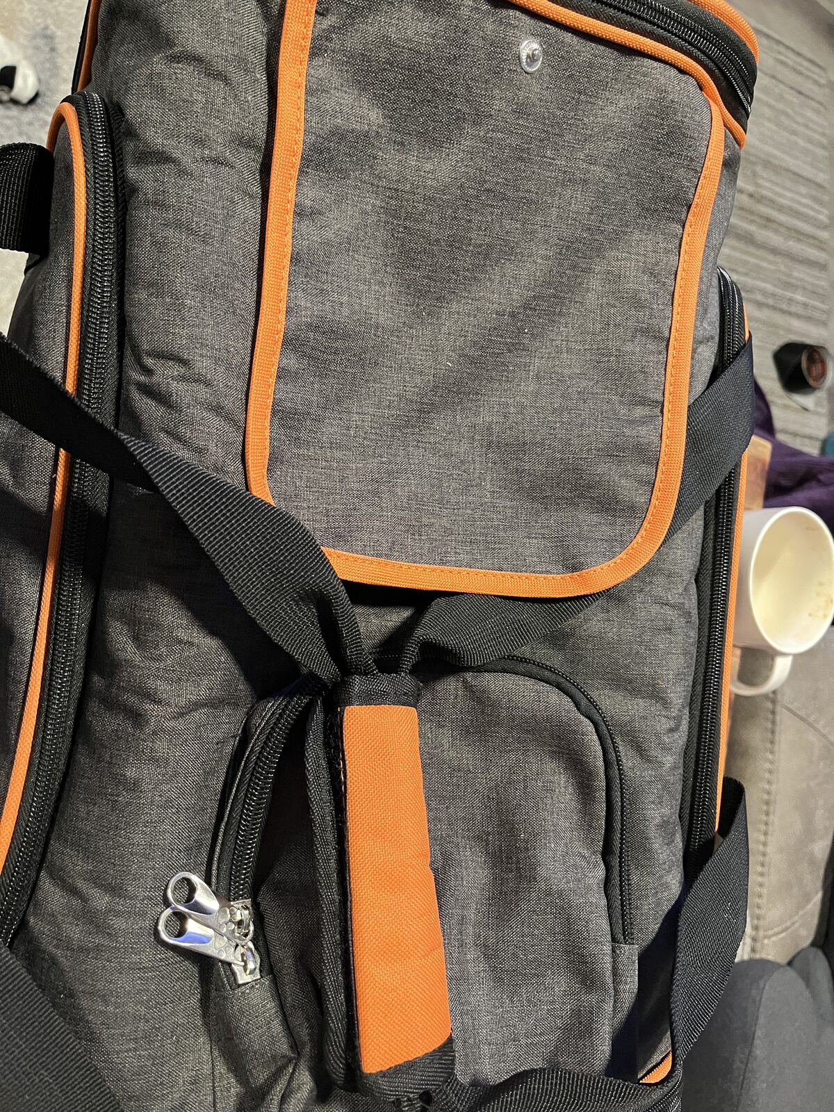 Lesure comfy pet carrier