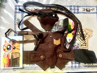 Dapper Tweed Cat Outfit