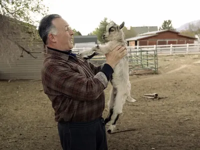 Young Pygmy Goat Male For Sale