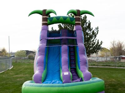 Purple Palm Plunge Water Slide