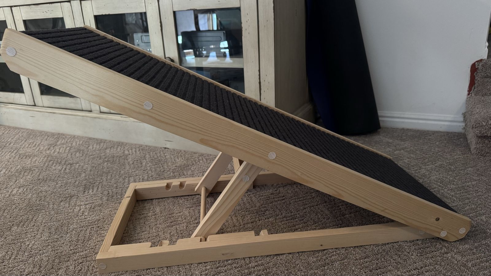 New Never Used Pet Ramp