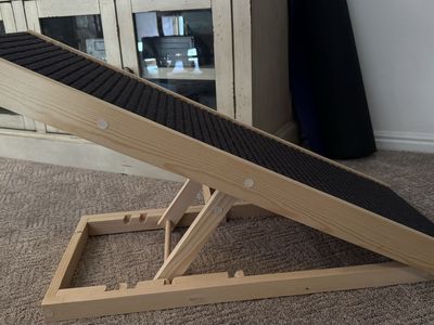New Never Used Pet Ramp