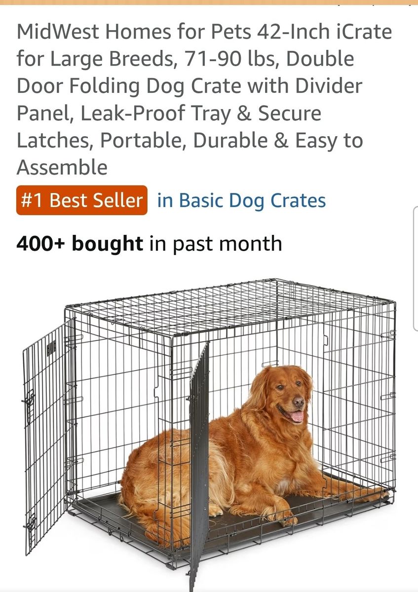 Dog Create