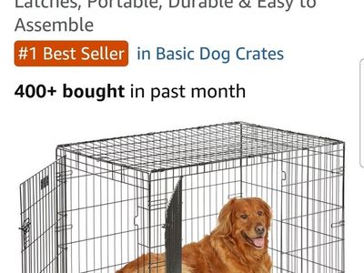 Dog Create