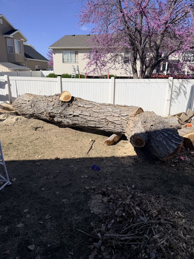 2 Big Logs - MAKE OFFER