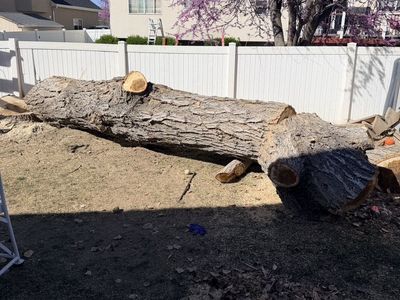 2 Big Logs - MAKE OFFER