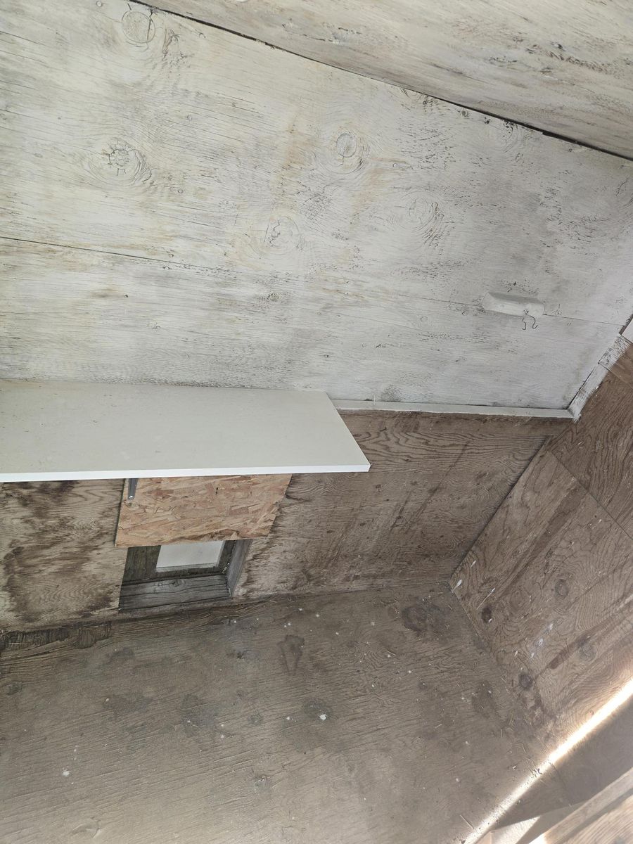 Main image 4