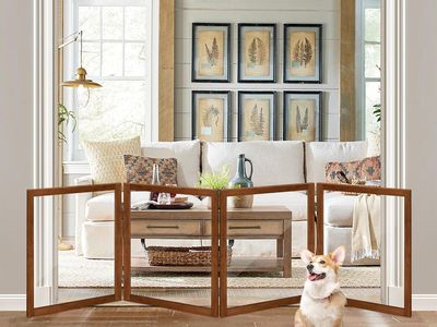 24" x 72" Extra-Wide Clear/Transparent Pet Fence w/ Cherry Hardwood Dog Gate for Indoor Use