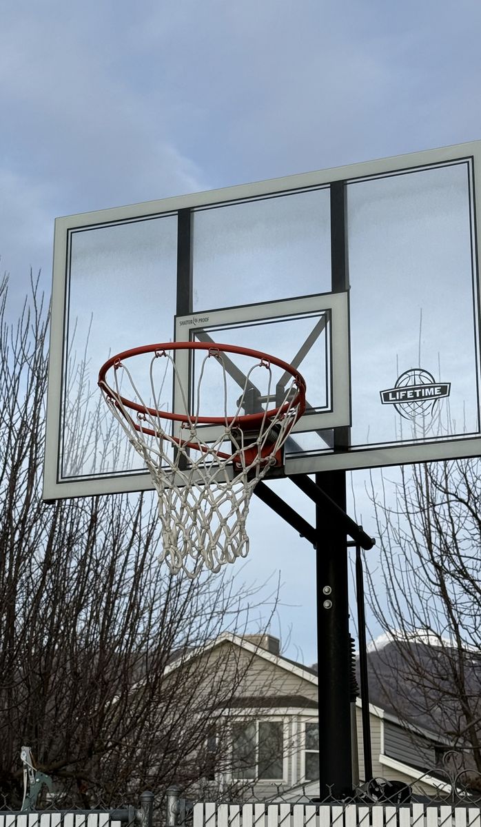 Lifetime Basketball Standard.