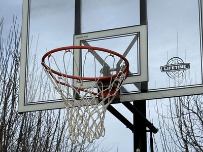 Lifetime Basketball Standard.