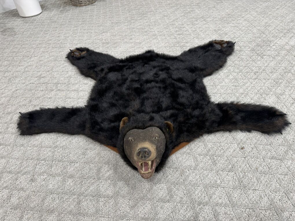 Bud The Singing Bear