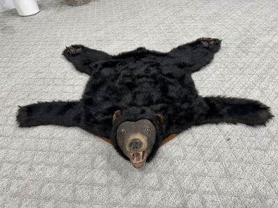 Bud The Singing Bear