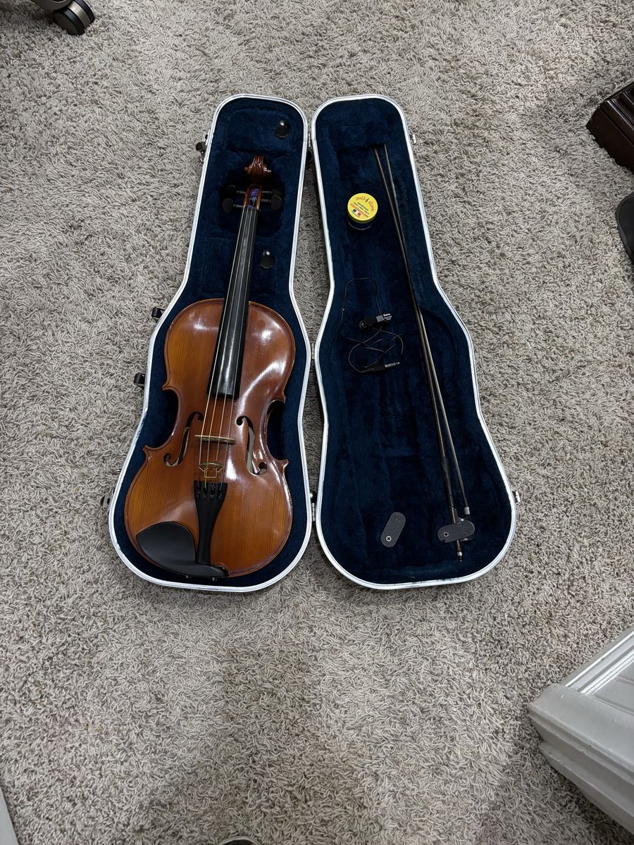 Viola