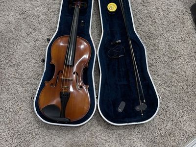 Viola
