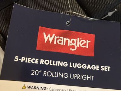 20” suitcase